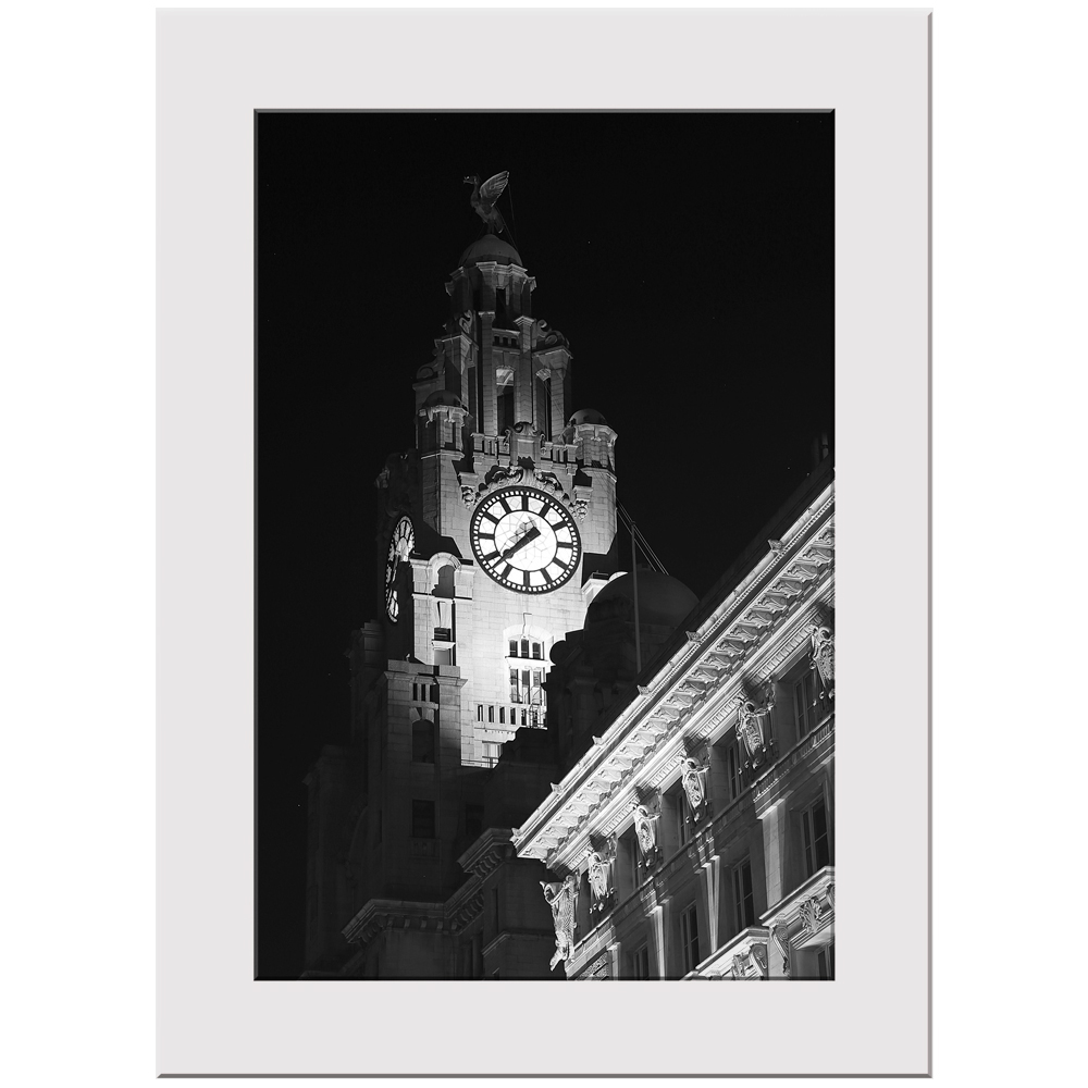 Liver Building Print